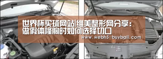 世界杯买球网站|维美整形网分享:做假体隆胸时如何选择切口(图2) 世界杯外围买球