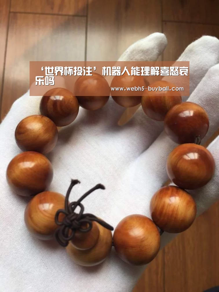 ‘世界杯投注’机器人能理解喜怒哀乐吗(图1) 世界杯买球网站