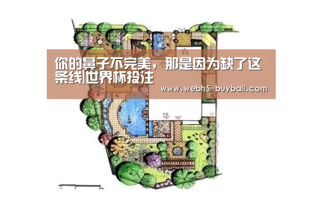 你的鼻子不完美,那是因为缺了这条线|世界杯投注(图3) 世界杯外围买球