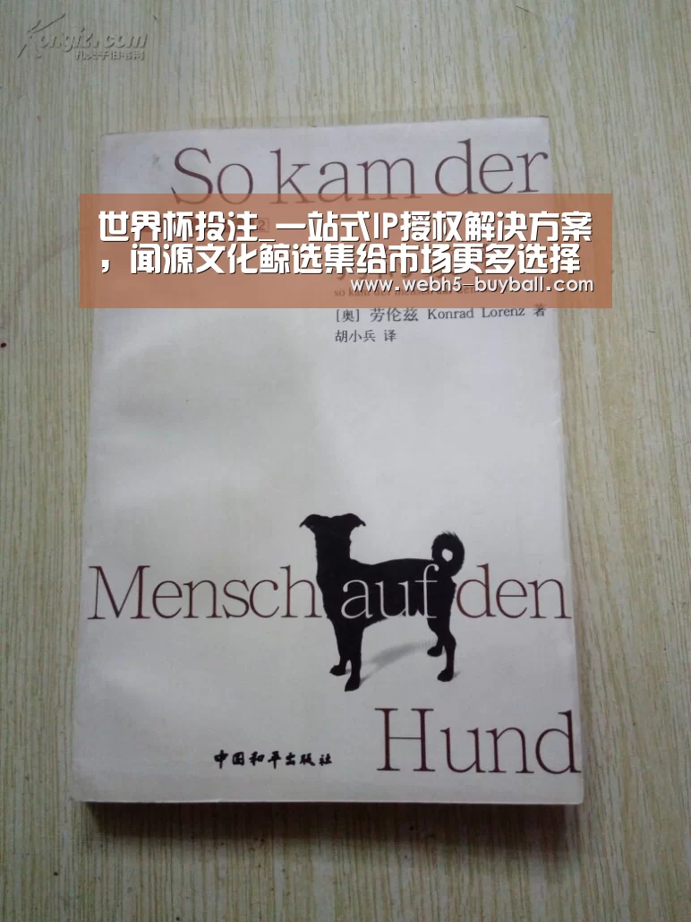 世界杯投注_一站式IP授权解决方案,闻源文化鲸选集给市场更多选择(图1) 世界杯外围买球